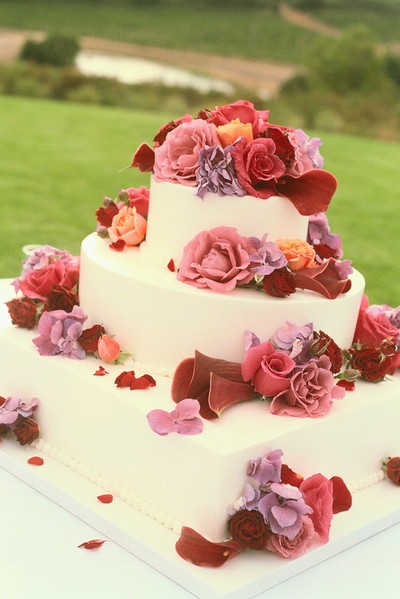 Wedding Cake Designers on Lilltjoosan